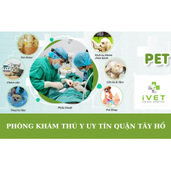 Lưu ý khi lựa chọn phòng khám thú y uy tín tại quận Tây Hồ, Hà Nội